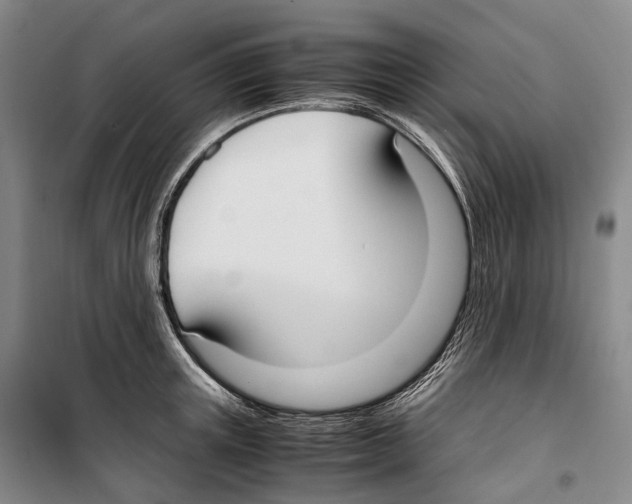 X0000099400851200806051206