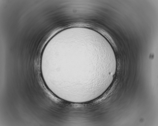 X0000099400852200806051206