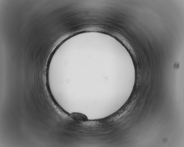 X0000099400853200806051206
