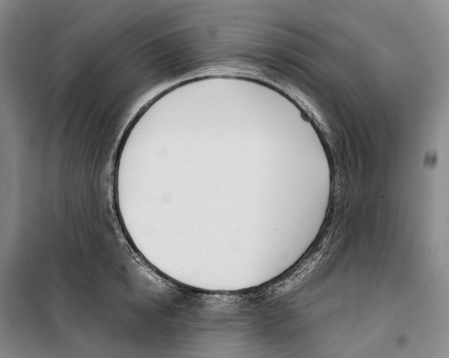 X0000099400854200806051206