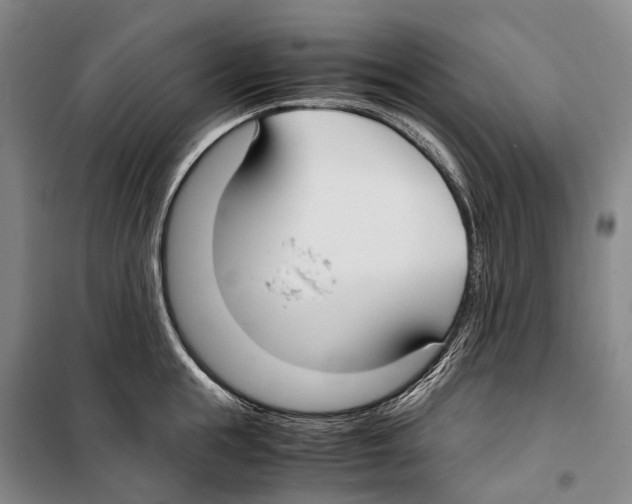 X0000099400855200806051206