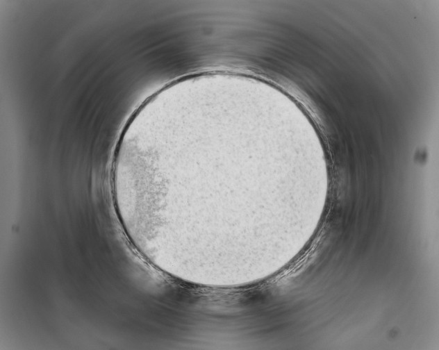 X0000099400856200806051206