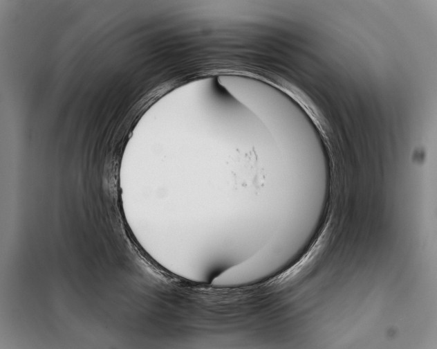 X0000099400857200806051206