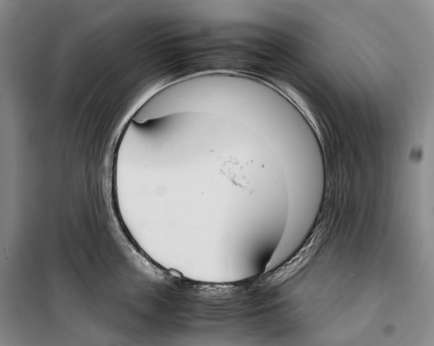 X0000099400859200806051206
