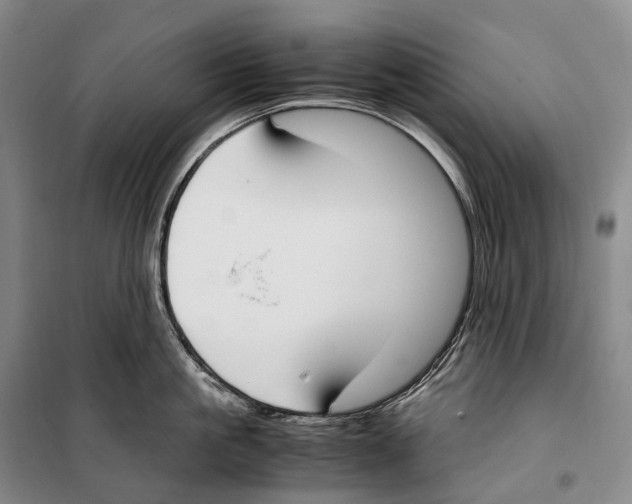X0000099400861200806051206