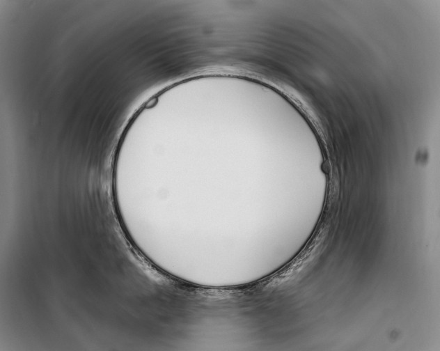 X0000099400862200806051206