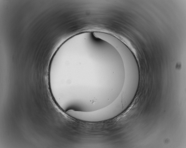 X0000099400863200806051206