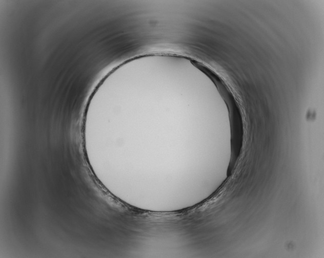 X0000099400864200806051206