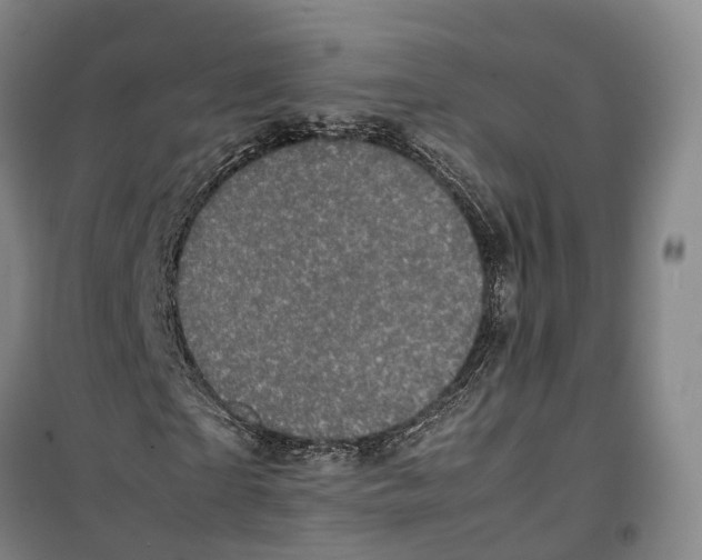 X0000099400865200806051205