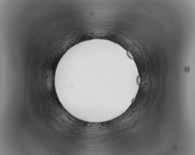 X0000099400866200806051205