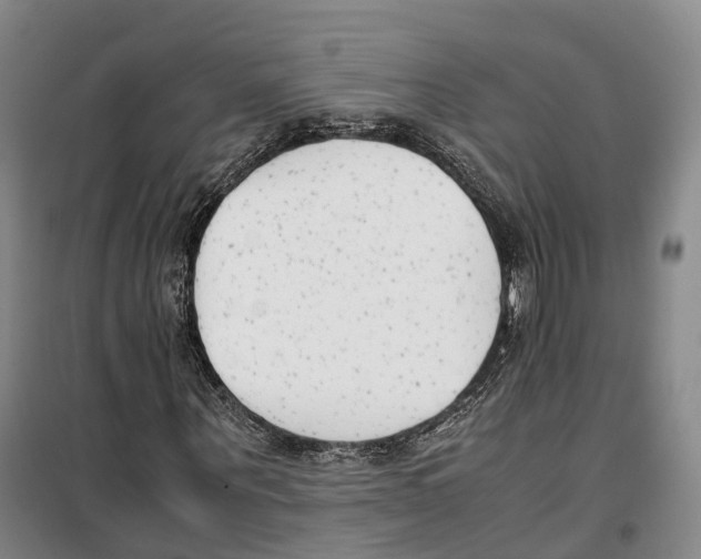 X0000099400867200806051205