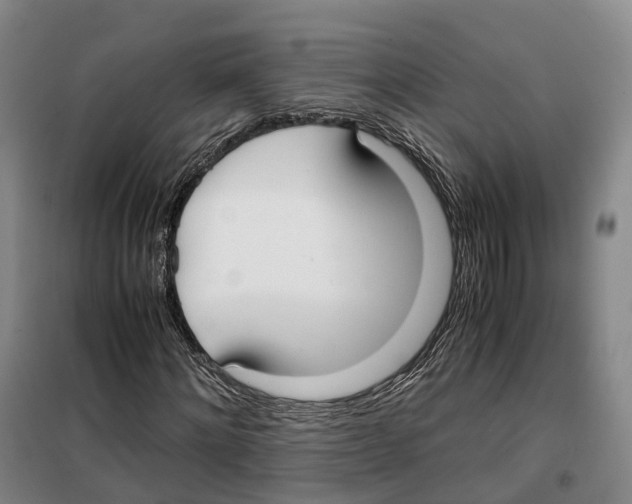 X0000099400868200806051205