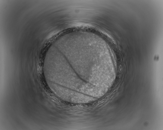 X0000099400869200806051205