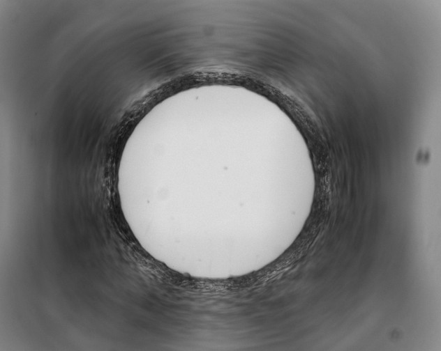 X0000099400870200806051205