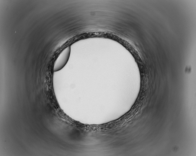 X0000099400871200806051205