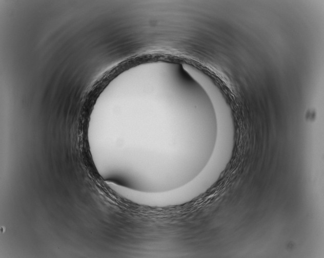 X0000099400872200806051205