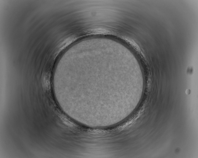 X0000099400873200806051205