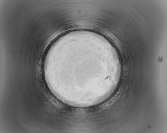 X0000099400875200806051205