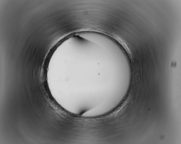 X0000099400876200806051205