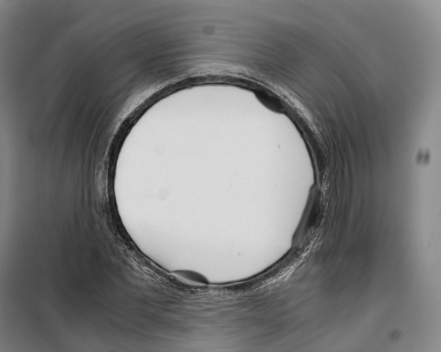 X0000099400877200806051205