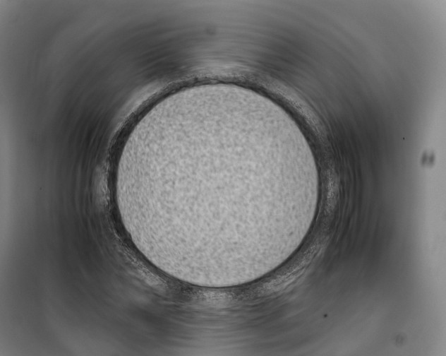 X0000099400878200806051205