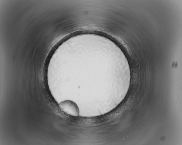 X0000099400879200806051205