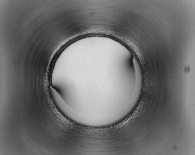 X0000099400880200806051205