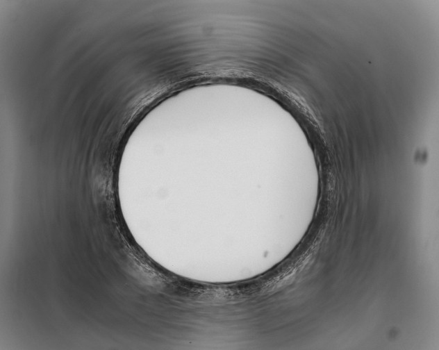 X0000099400881200806051205