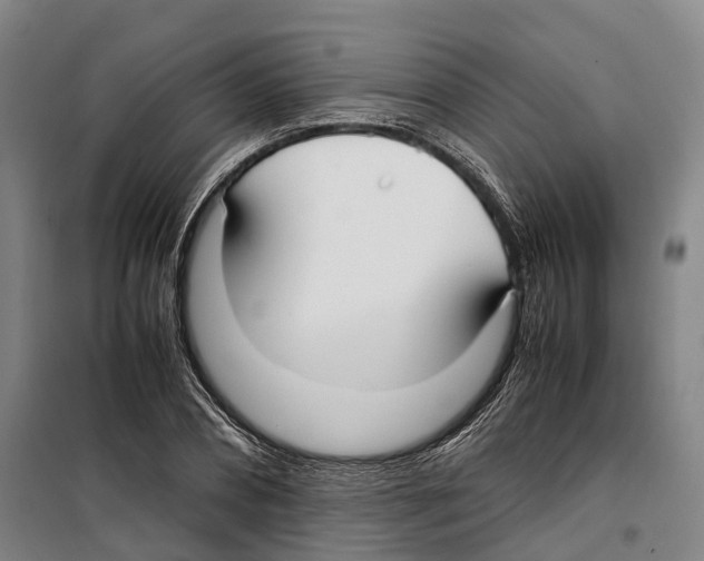 X0000099400882200806051205