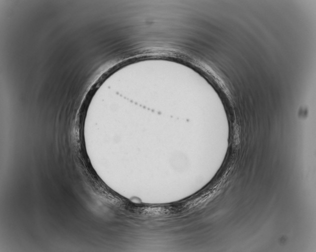 X0000099400883200806051205