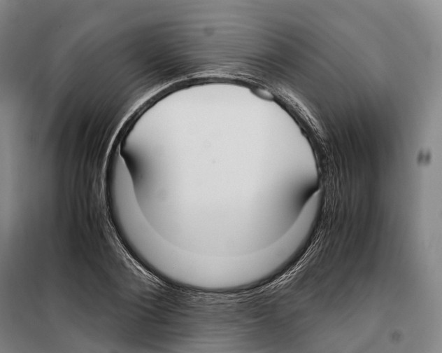 X0000099400884200806051205