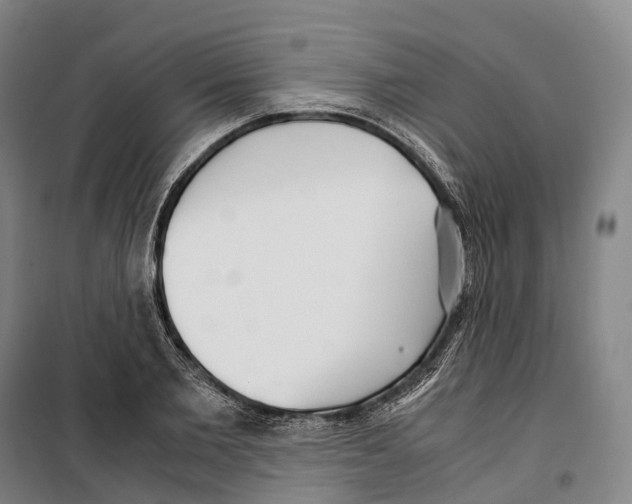 X0000099400885200806051205