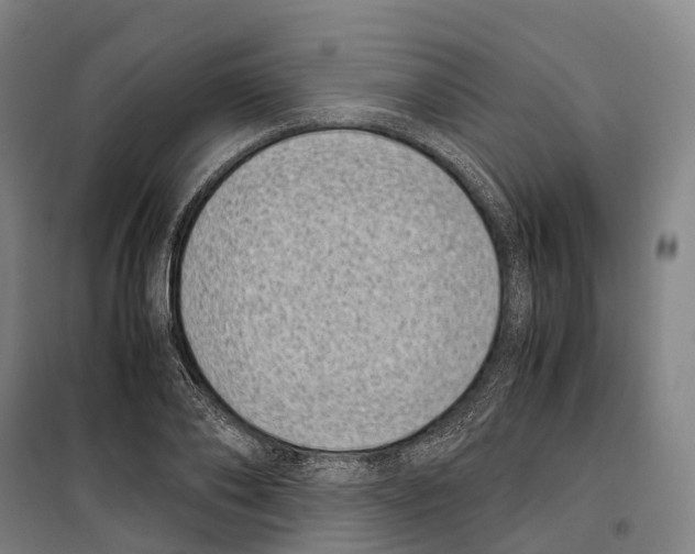 X0000099400886200806051205