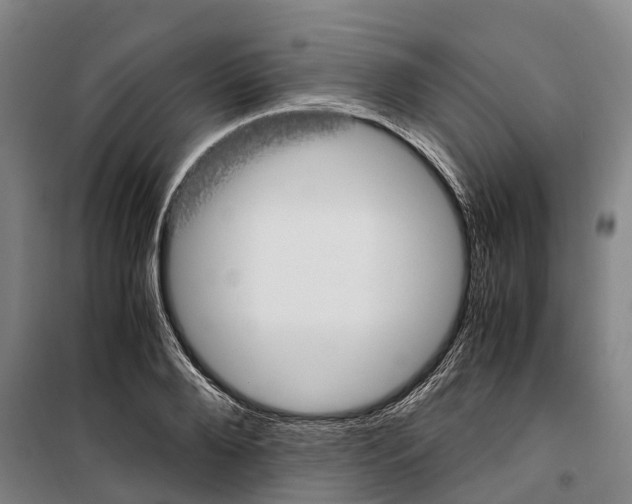 X0000099400888200806051205
