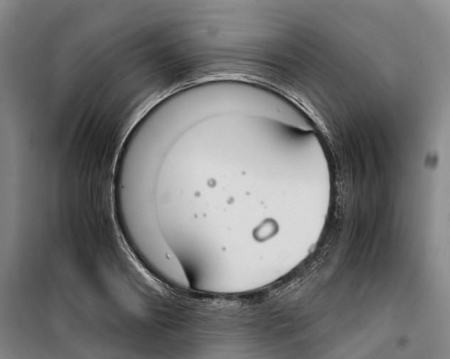 X0000099400890200806051205