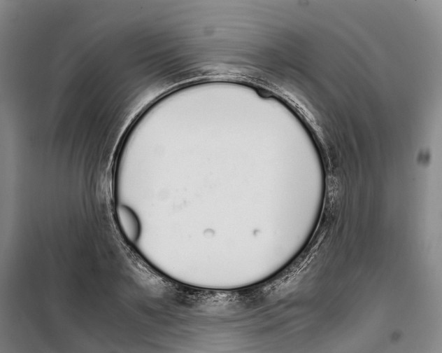 X0000099400891200806051205