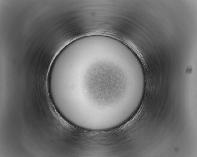 X0000099400892200806051205