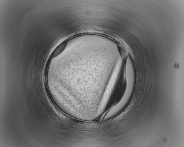 X0000099400893200806051205