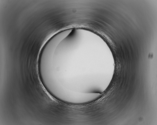 X0000099400894200806051205