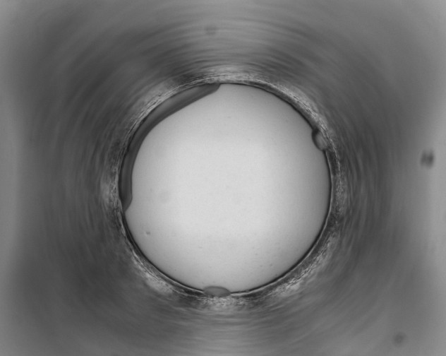 X0000099400897200806051205