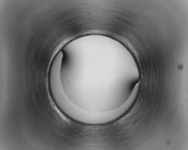 X0000099400898200806051205