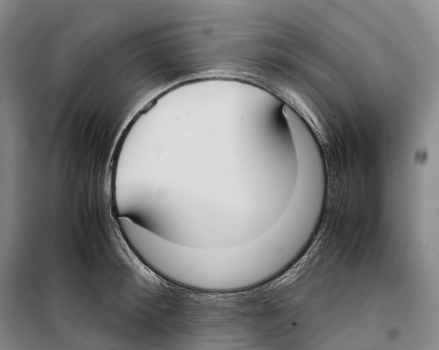 X0000099400900200806051205