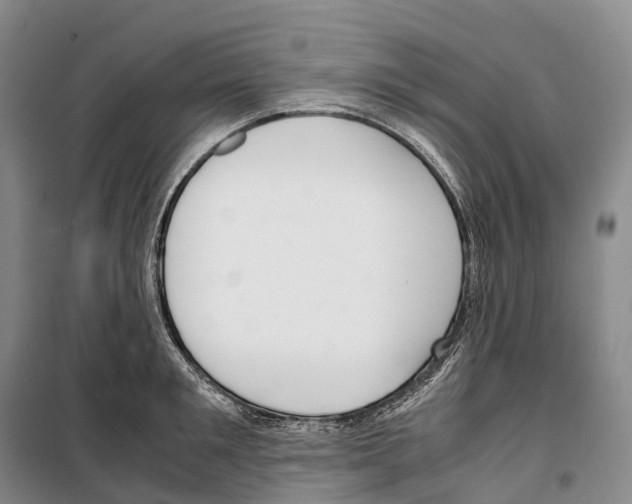 X0000099400901200806051205