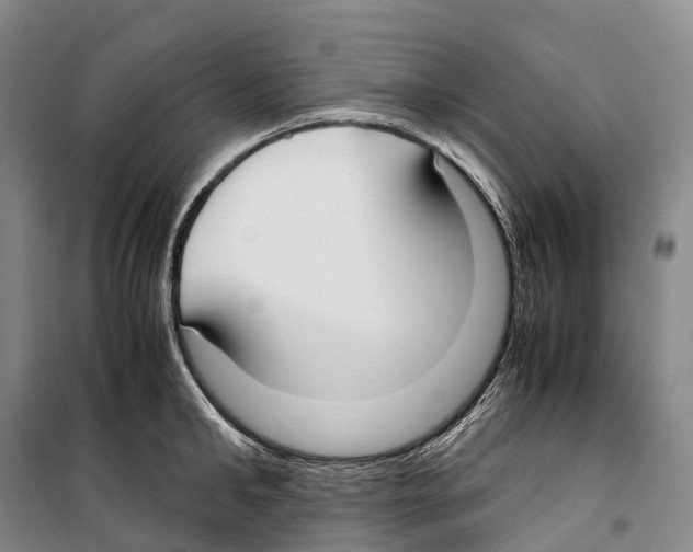 X0000099400902200806051205