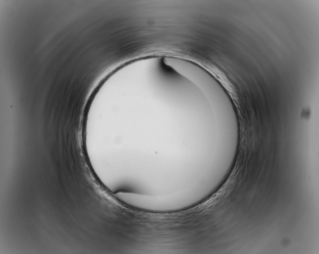 X0000099400904200806051205