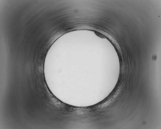 X0000099400905200806051205