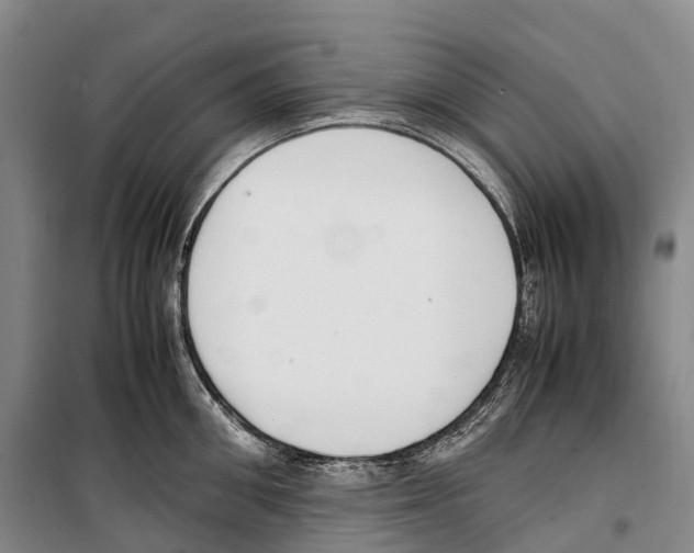 X0000099400906200806051205