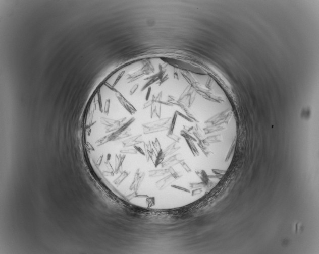 X0000099400907200806051205