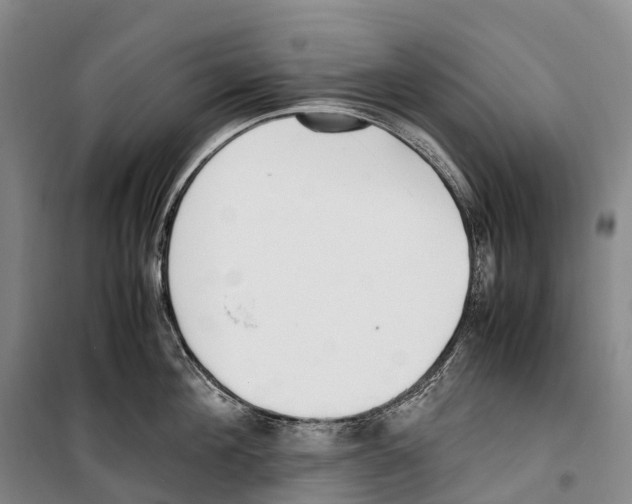 X0000099400908200806051205
