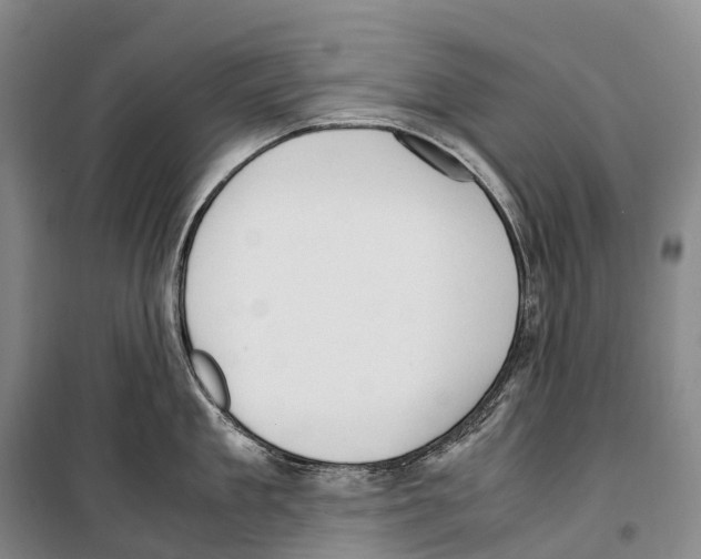X0000099400909200806051205